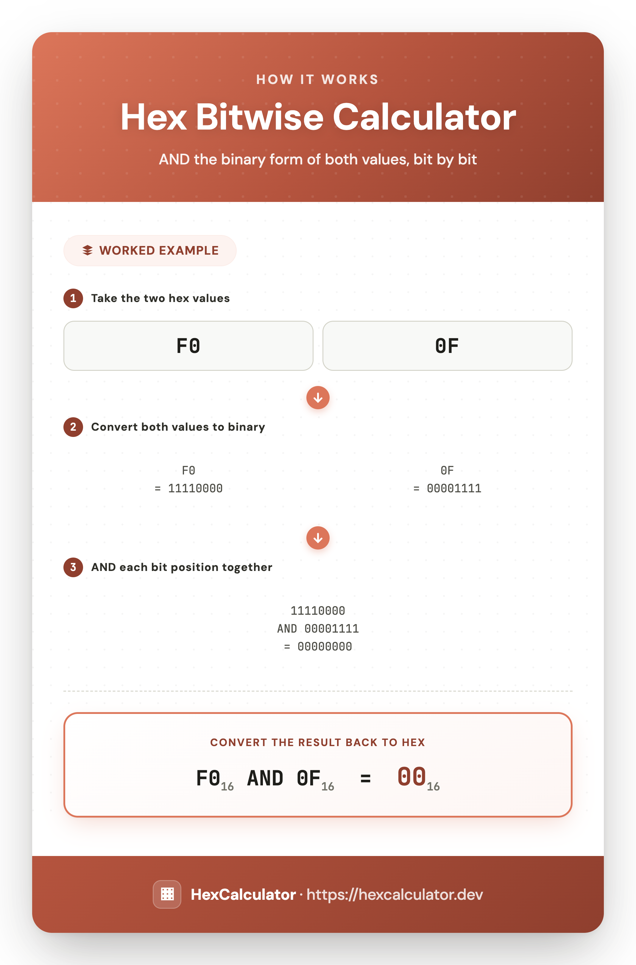 How the Hex Bitwise Calculator Works — Worked Example Infographic showing a bitwise AND between hex F0 and 0F: convert both to binary, AND each bit position, then convert the result 00000000 back to hex 00